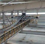 Cludwyr Belt Sefydlog Dewis Delfrydol ar gyfer Trin Deunydd Swmp